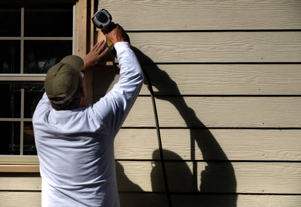 Affordable Siding Repair and Maintenance Services in Pinellas Park, FL